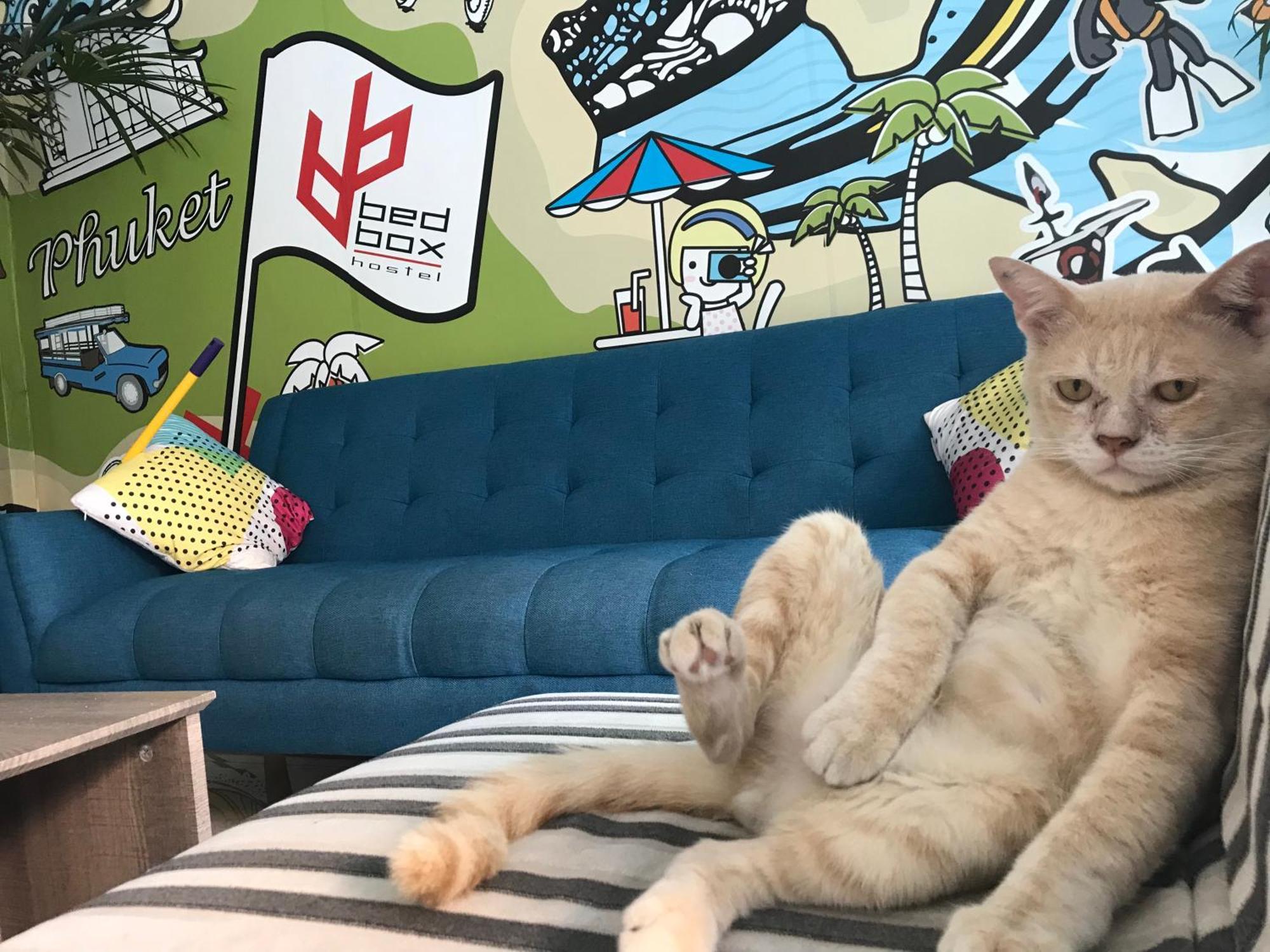 Bedbox Guesthouse And Hostel Patong Екстериор снимка